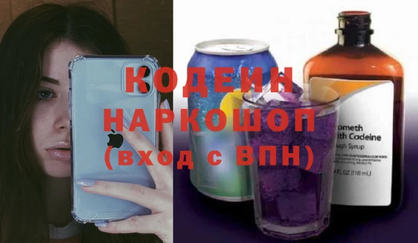 молекула духа Семилуки