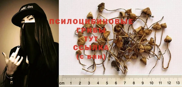стаф Семёнов